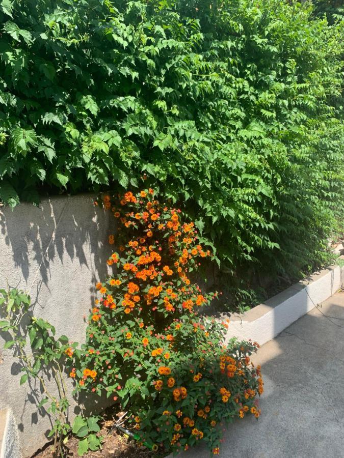 Aida Apartments And Rooms For Couples And Families Free Parking Dubrovnik Ngoại thất bức ảnh