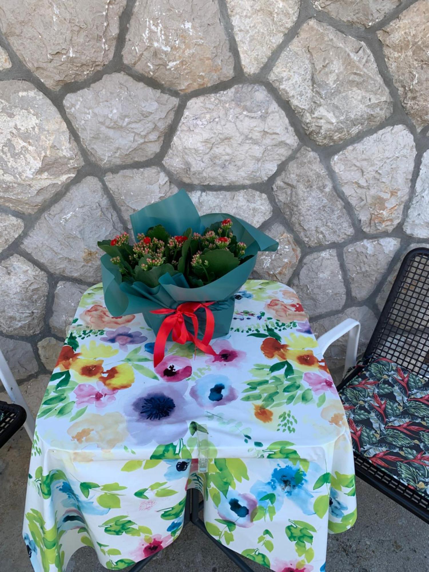 Aida Apartments And Rooms For Couples And Families Free Parking Dubrovnik Ngoại thất bức ảnh