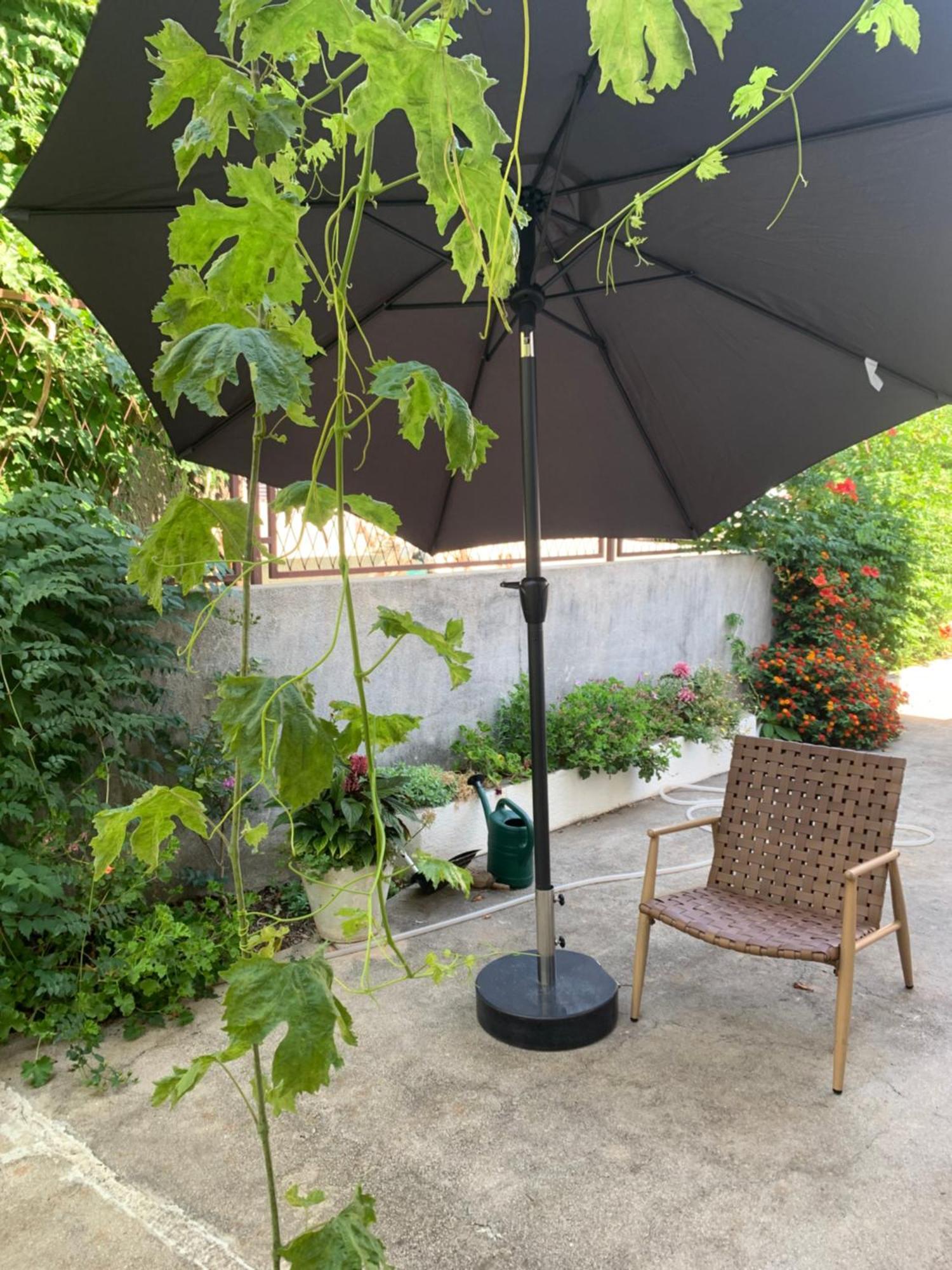 Aida Apartments And Rooms For Couples And Families Free Parking Dubrovnik Ngoại thất bức ảnh